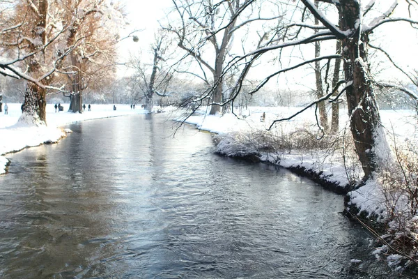 Las rzeka w tle piękny zimowy krajobraz z białymi śnieżnymi drzewami w parku, w lesie, głębokie tory w śniegu, sezonowe, koncepcja pogody — Zdjęcie stockowe