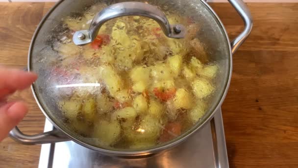 Woman Removes Glass Lid Delicious Home Made Lunch Large Pot — Stock Video