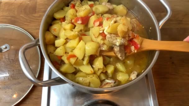 Housewife stirs ingredients with a wooden spatula delicious traditional Eintopf dish with meat and vegetables in a large metal pan, home cooking concept — Stock Footage Housewife Stirs Ingredients Wooden Spatula Delicious Traditional Eintopf Dish Meat Stock Footage