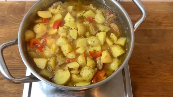 In a large metal pan, a delicious homemade dinner is prepared, boiling a fragrant nutritious broth, the concept of cooking homemade food — Stock Footage Large Metal Pan Delicious Homemade Dinner Prepared Boiling Fragrant Nutritious Stock Footage