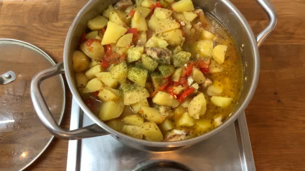 In a large metal pan, a delicious homemade dinner is prepared, boiling a fragrant nutritious broth, the concept of cooking homemade food — Stock Footage Large Metal Pan Delicious Homemade Dinner Prepared Boiling Fragrant Nutritious Stock Footage