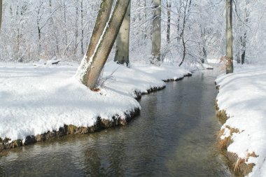 Nehir, karın, parkın, kışın ormanın soğuk beyaz manzarası arasında akar. Doğada mevsimsel değişim kavramı, kar, hava, iklim.
