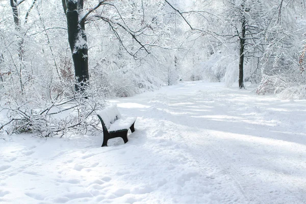 Banco del parque solitario entre el paisaje blanco frío de la ciudad de Munich en la nieve, parque en invierno, el concepto de soledad, cambios estacionales en la naturaleza, nevadas, tiempo, clima — Foto de Stock