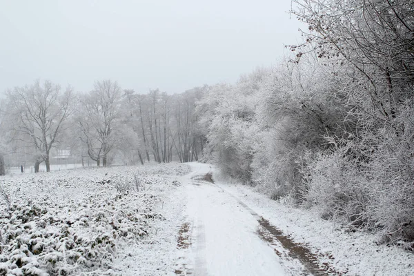 Egy országút havazása és havas útja, a közművek fogalma, a természet szezonális változásai, hóesés, időjárás, éghajlat — Stock Fotó