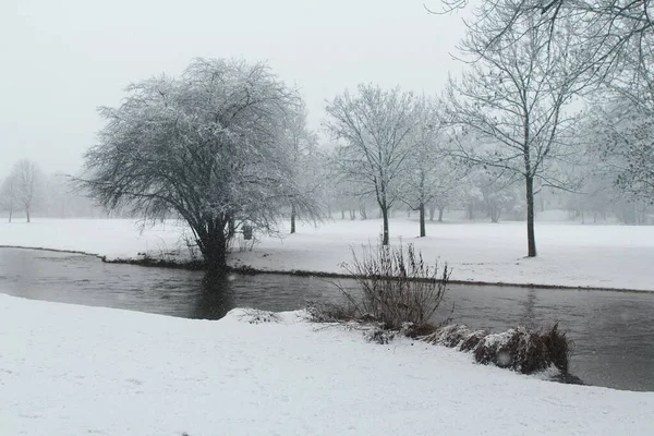 El río fluye entre el frío paisaje blanco de la naturaleza en la nieve, parque, bosque en invierno, el concepto de cambios estacionales en la naturaleza, nevadas, clima, clima — Foto de Stock