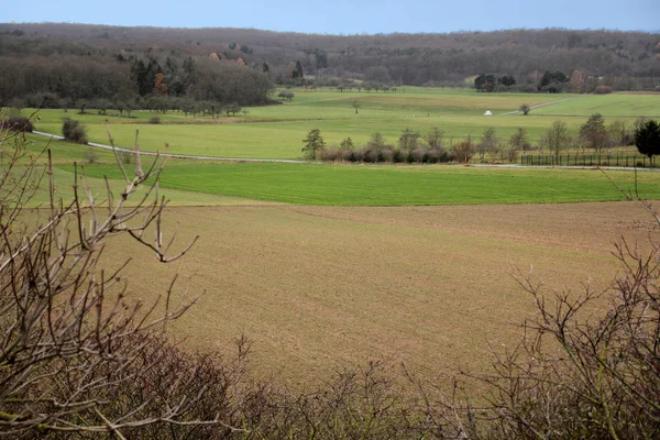 Campi verdi, alberi e montagne in lontananza, colline, paesaggio rurale invernale — Foto Stock