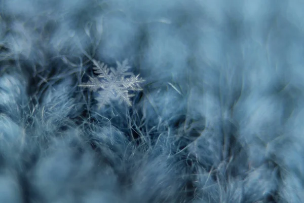 Un fiocco di neve bianco di cristalli di ghiaccio si trova su un panno di lana blu lavorato a maglia, primo piano, concetto di cambiamenti stagionali nella natura, tempo, prima neve — Foto Stock