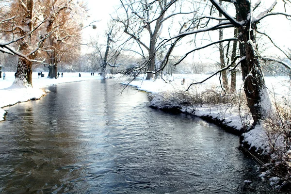 Bosque río en el fondo un hermoso paisaje de invierno con —  Fotos de Stock