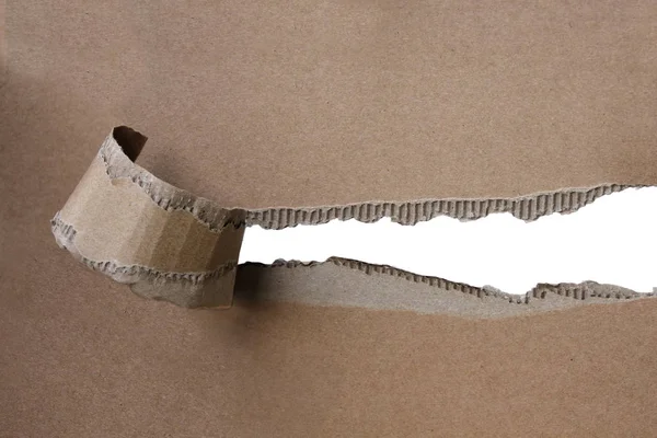 Empty blank cardboard form, craft paper, strip with roughly torn edge, concept of secrecy, tracking, spying, blank for the designer, close-up, copy space — Stockfoto