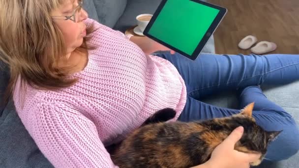 Sofa Room Woman Sits Pink Pullover Holds Tablet Blank Green — 图库视频影像