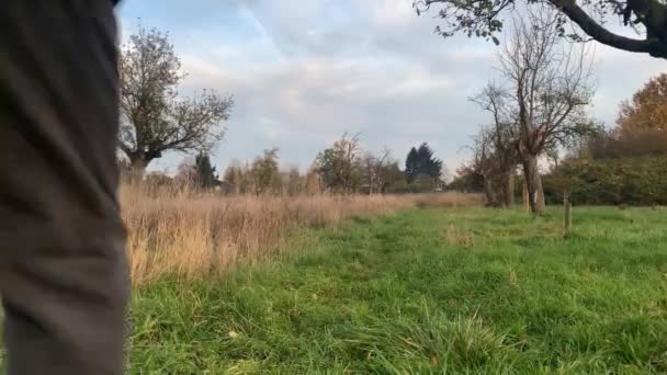 Uomo Mezza Età Giacca Corre Inverno Autunno Nel Parco Concetto — Video Stock