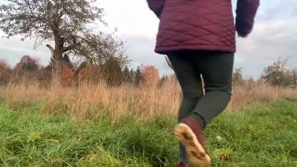 Donna Mezza Età Giacca Corre Inverno Autunno Nel Parco Concetto — Video Stock