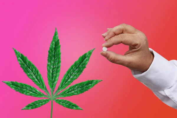 Doctor, enfermera, farmacéutico en uniforme blanco tiene una pastilla en sus manos, concepto farmacológico, cannabis medicinal —  Fotos de Stock