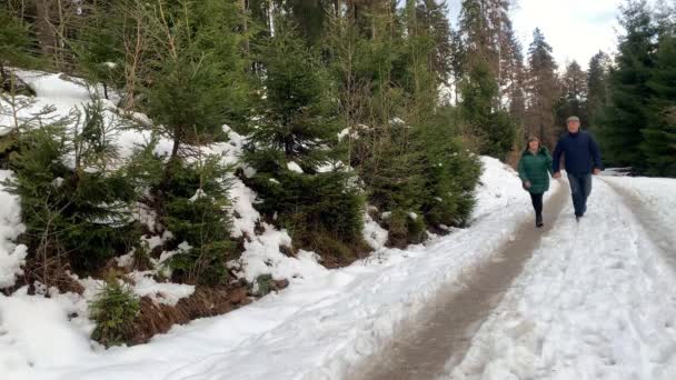 Жінка Середнього Віку Чоловік Куртках Ходять Взимку Через Засніжений Ліс — стокове відео