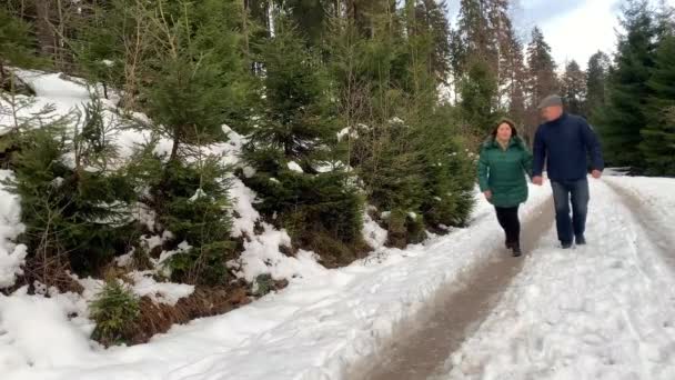 Žena Středního Věku Muž Bundách Procházejí Zimě Zasněženým Lesem Drží — Stock video