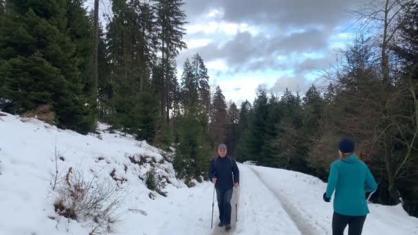 Средневековье Куртках Прогуливается Зимой Лесной Дороге Северными Палками Концепция Спорта — стоковое видео