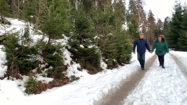 冬日里 穿着夹克的中年妇女和男子在多雪的森林里散步 牵着手 欣赏大自然 — 图库视频影像