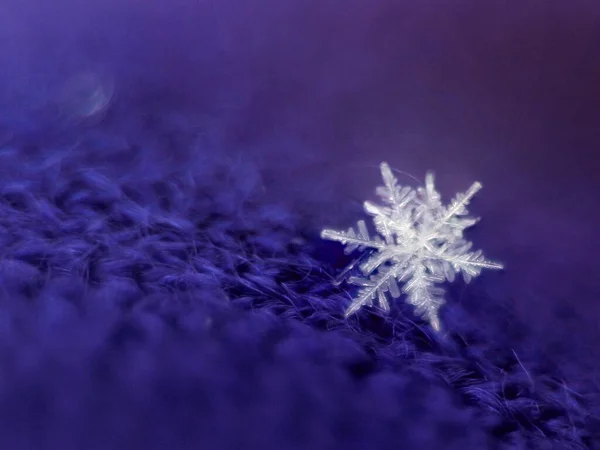 Un flocon de neige blanc fait de cristaux de glace repose sur un tissu de laine tricoté violet, gros plan, le concept de changements saisonniers dans la nature, le temps, la première neige — Photo