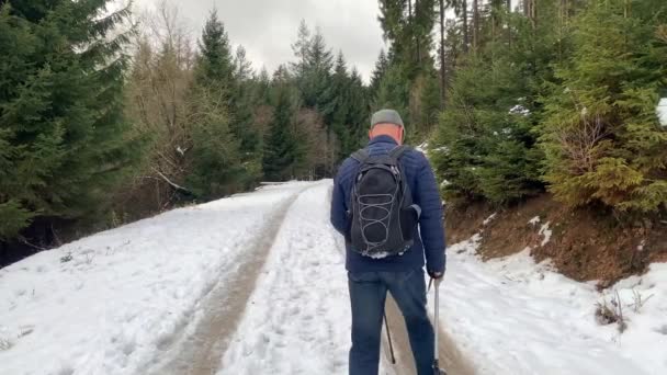 Middle Aged Man Jackets Walk Winter Forest Road Nordic Walking — Stock Video