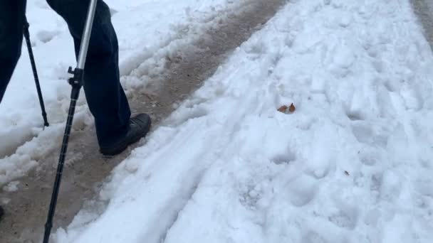 Uomo Mezza Età Giacca Camminare Inverno Una Strada Forestale Con — Video Stock