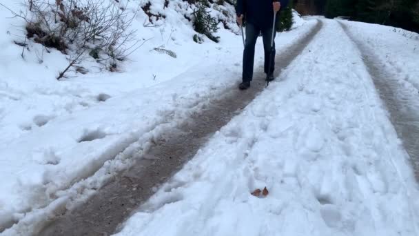 Man Van Middelbare Leeftijd Jassen Wandelen Winter Een Bosweg Met — Stockvideo