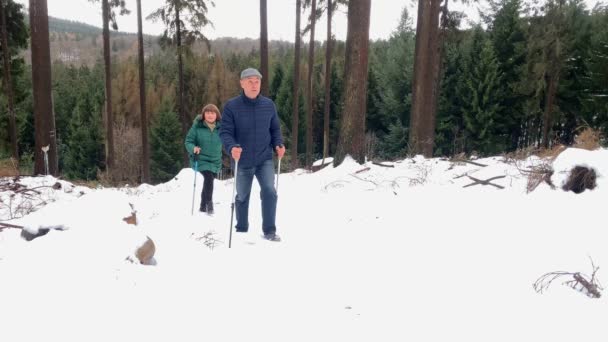 Žena Středního Věku Muž Bundách Procházka Zimě Lesní Cestě Severskými — Stock video