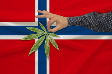 renkli bir devlet bayrağı arka plan karşı bir adamın elinde esrar yeşil yaprak, ülkede yasallaştırma kavramı, ticaret, üretim ve uyuşturucu kullanımı