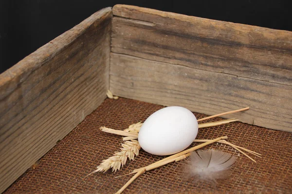 Fehér tojás fekszik egy fadobozban, régi, grunge, koncepció, közeli, másolási tér — Stock Fotó