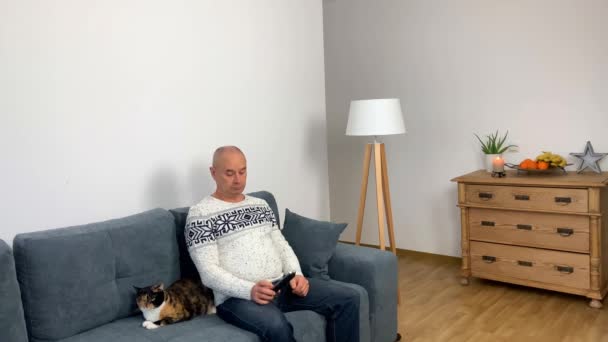 Adult Man Nordic White Sweater Sitting Sofa Next Cat Watching — 비디오