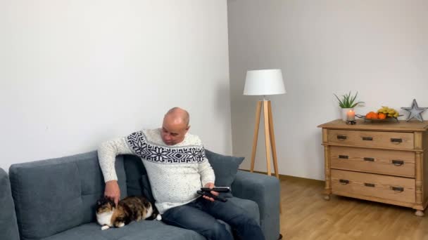 猫の隣のソファに座ってテレビを見ている普通の白いセーターの大人の男 — ストック動画