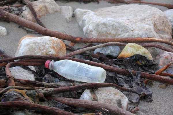 Çubuklar ve algler arasındaki eski plastik şişeler deniz kıyısında, ekoloji ve çevre koruma kavramında yatar. — Stok fotoğraf