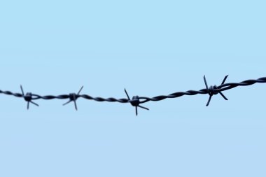 Barbed wire for imprisonment for offenders.Barbed wire for the siege area. clipart