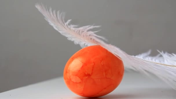 Beschilderd Rood Kippenei Ligt Onder Een Witte Pluizige Struisvogelveer Pasen — Stockvideo