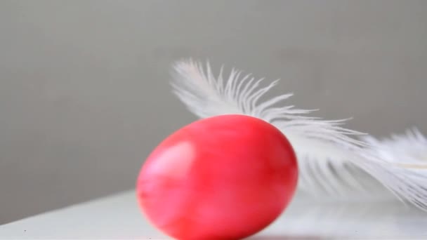 Painted Red Chicken Egg Lies White Fluffy Ostrich Feather Easter — 비디오