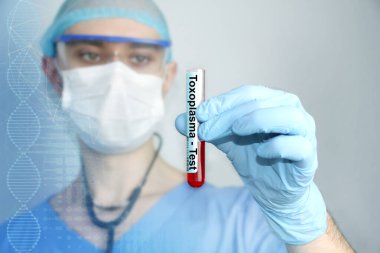 Mavi üniformalı, koruyucu maskeli ve gözlüklü bir erkek doktor, üzerinde kan olan bir laboratuvar tüpüne, toksoplazmaların çalışma ve tedavi konseptine bakıyor.