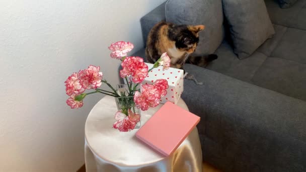 Ein Strauß Rosafarbener Nelkenblüten Steht Einer Vase Geschenke Schachteln Liegen — Stockvideo