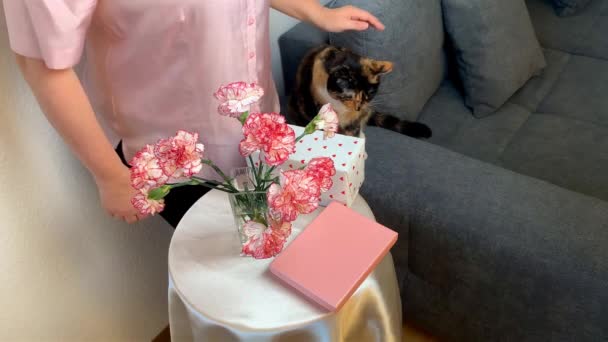 女人在盒子里打开礼物 一束粉红色的康乃馨花矗立在花瓶里 一只深色的猫坐在灰色的沙发上 看起来 假期的概念 情人节 — 图库视频影像
