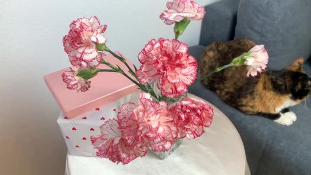 Kytice Růžových Květin Karafiátů Váze Dárky Krabicích Jsou Kulatém Stole — Stock video