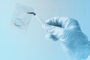 Saç örneği, laboratuardaki genetik araştırmalar için laboratuvar asistanının elindeki poşetteki bukleler DNA analizi konsepti, babalık testi.