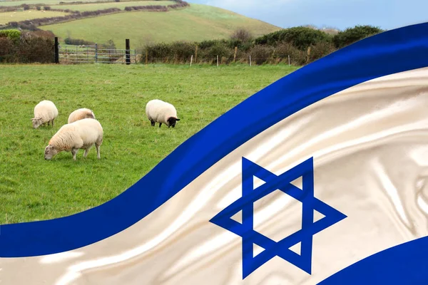 Bandera Seda Del Estado Israelí Ondeando Suaves Pliegues Viento Fondo — Foto de Stock