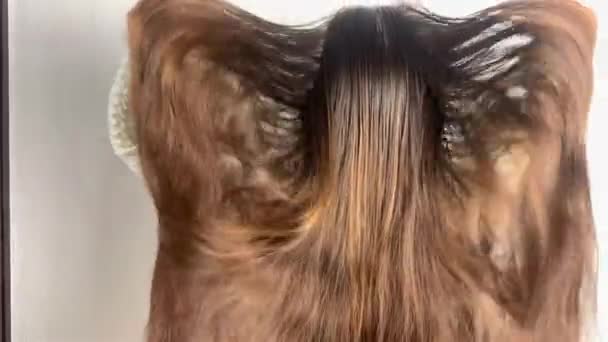 Beyaz Elbiseli Avrupalı Genç Kız Evde Doğal Uzun Saçlarını Tarıyor — Stok video