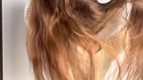 Юна Дівчина Білій Сукні Зачісає Своє Природне Довге Волосся Вдома — стокове відео