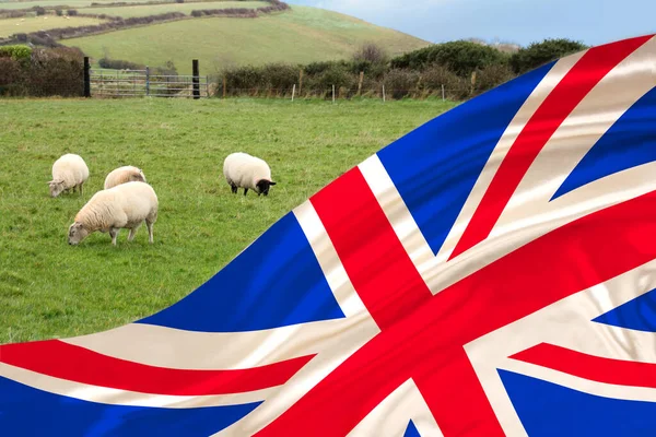 Англійський Національний Прапор Розмахує Якими Складками Вітру Задньому Плані Білі — стокове фото