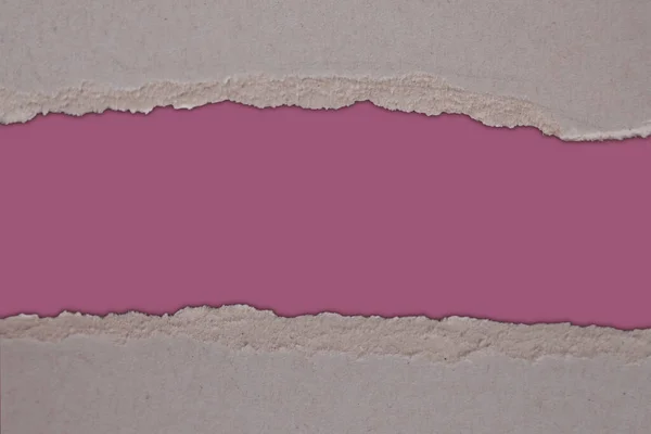 blank form with roughly torn edge of gray cardboard on a colored pink background, blank for designer, close-up, copy space