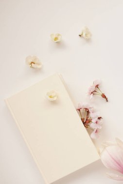 Güzel, sakin bir hayat, bej bir arka planda kart, manolya tomurcukları, bir fincan kapuçino, çiçekli bahar arkaplanı konsepti