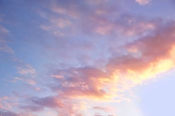 美丽的紫丁香夕阳西下 蔚蓝的夜空 自然景观 — 图库照片