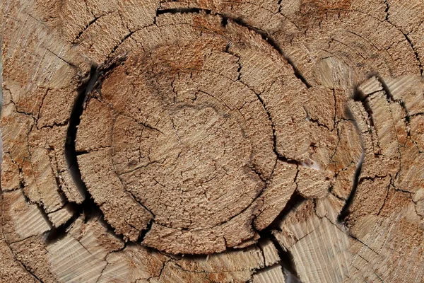 background texture of a round cut of wood with deep cracks. Slivers. Cut down trees. Wooden logs and wood chips