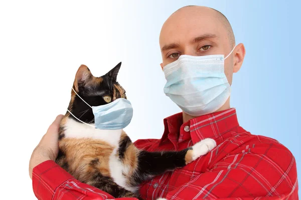 Young Male Domestic Dark Cat White Medical Antiviral Masks Concept — Stock Photo, Image