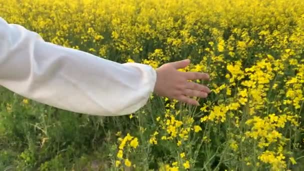 Kvinna Stroke Blommande Buskar Med Ljusa Rapsfrön Blommor Blå Himmel — Stockvideo