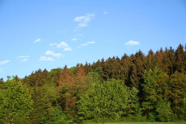 Modrá Obloha Nadýchanými Bílými Mraky Mraky Přírodní Krajina Nad Horským — Stock fotografie